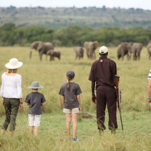 Wildlife Tour of Kenya