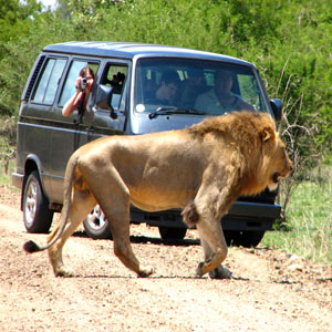 international-southafrica